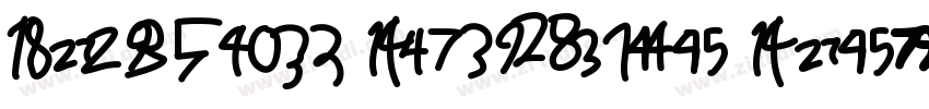 Racing Numbers Nas字体转换